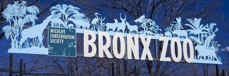 Zoo du Bronx