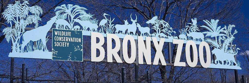 Zoo Du Bronx