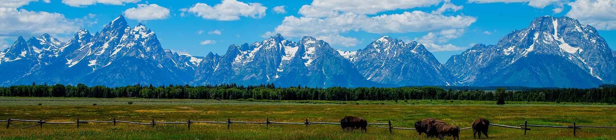 Atelier Photographie à Grand Teton National Park