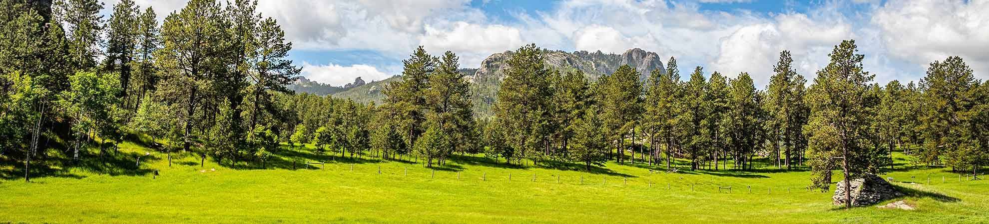 Balade à Cheval dans Custer State Park