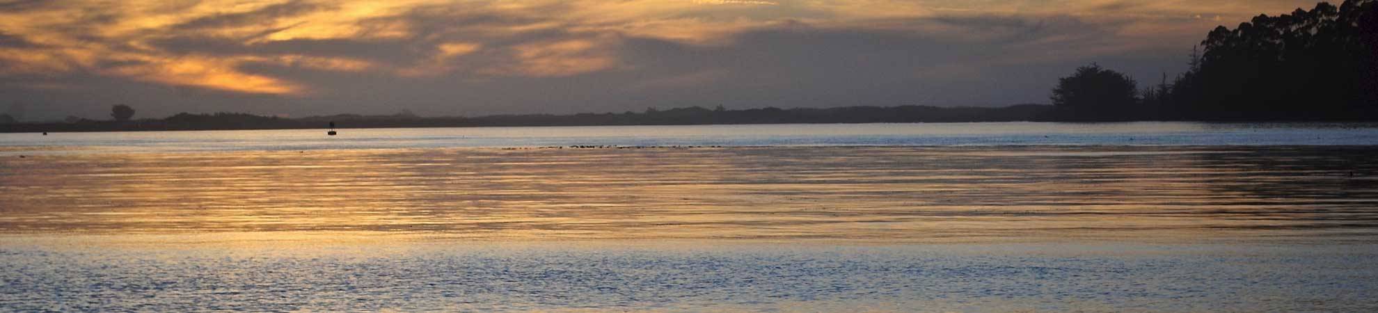 Kayak dans la baie d'Humboldt