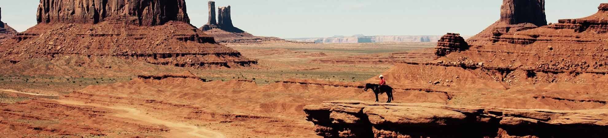 Observation des Mustangs Sauvages à Red Canyon