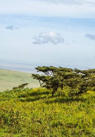 Ngare Nanyuki