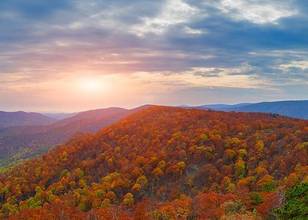 Shenandoah National Park