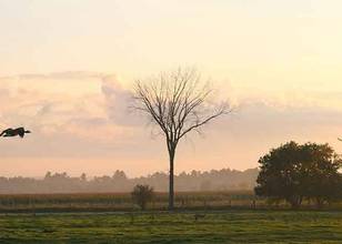 Parc Nature de Pointe-aux-Outardes