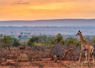 Réserve de Manyaleti