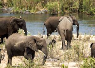 Réserve de Sebatana