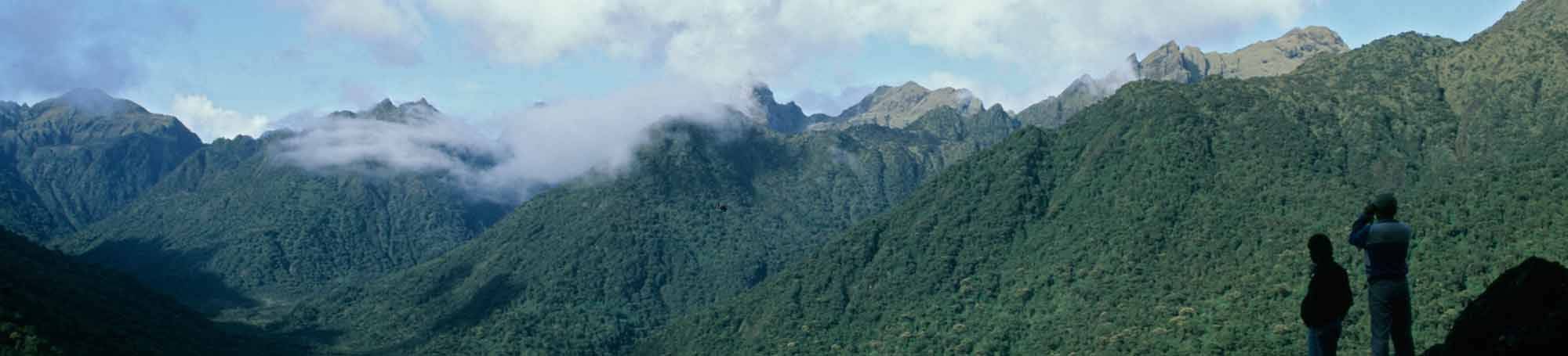 Guamote