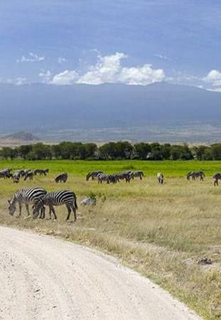 Mount Kilimanjaro National Park
