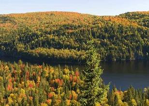 Mauricie