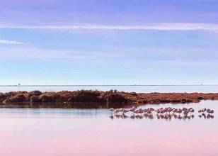 Parc Naturel du Delta de l'Ebre