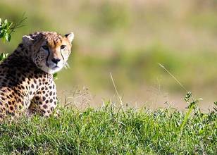 Samburu National Reserve