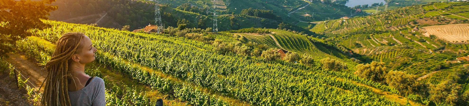 Vallée du Douro