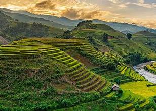 Mu Cang Chai