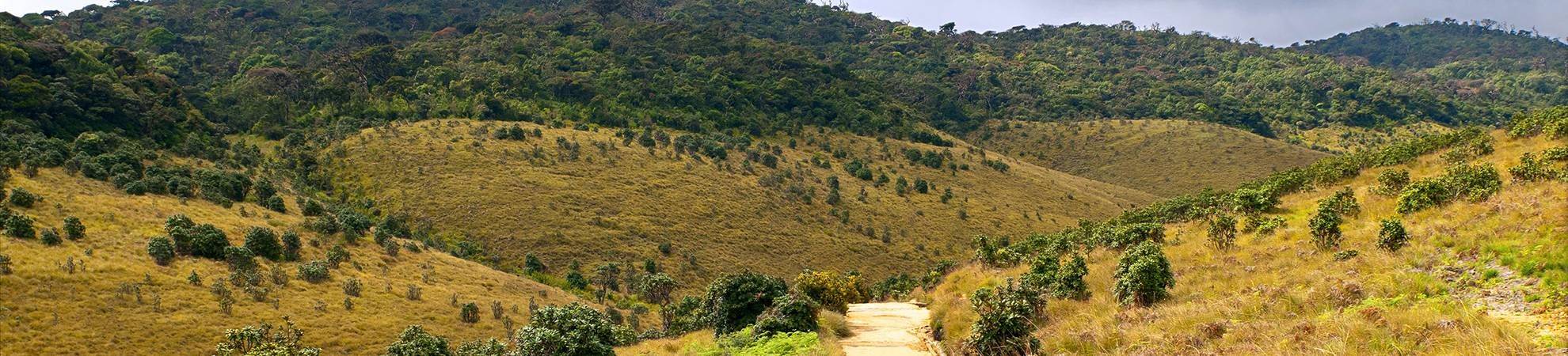 Trek à Horton Plains