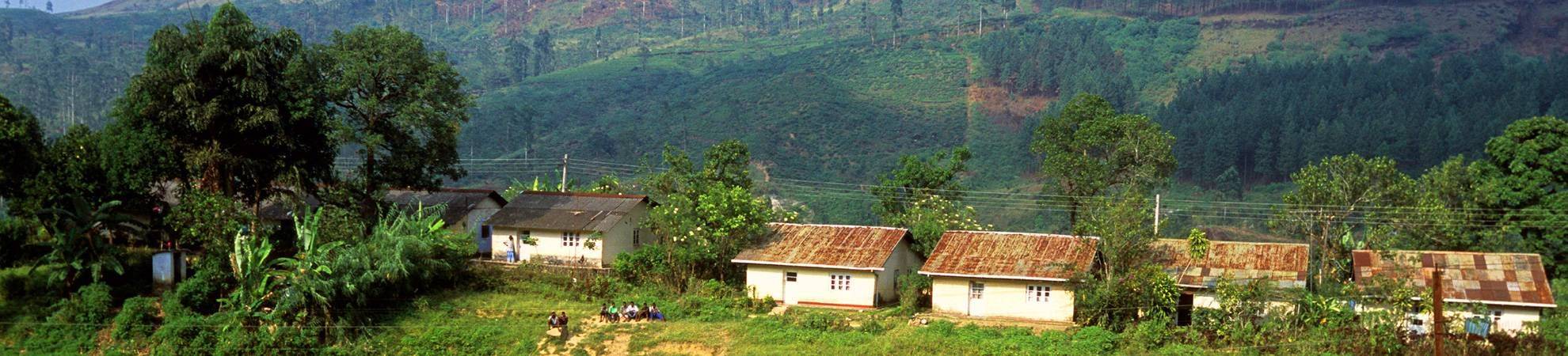Visite la ville de Nuwara Eliya