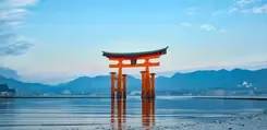 Cérémonie du thé sur Miyajima, l’île sacrée
