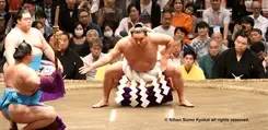 Kyūshū Basho : vivez l’émotion du tournoi de sumo