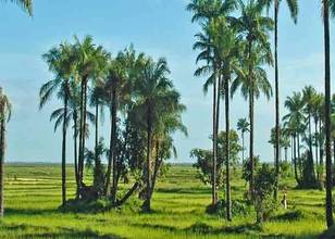 Région Casamance (Basse)