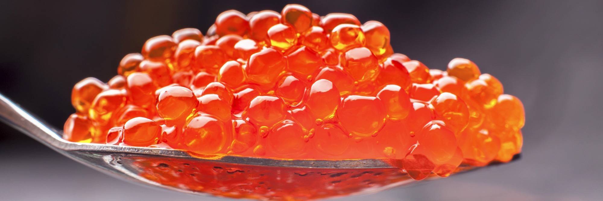 Dégustation de vodka et caviar rouge