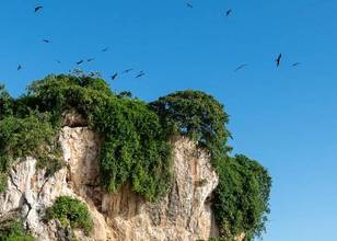 Parc National Los Haitises
