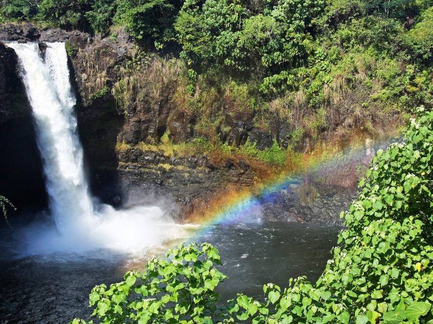 Beauté sauvage du Pacifique