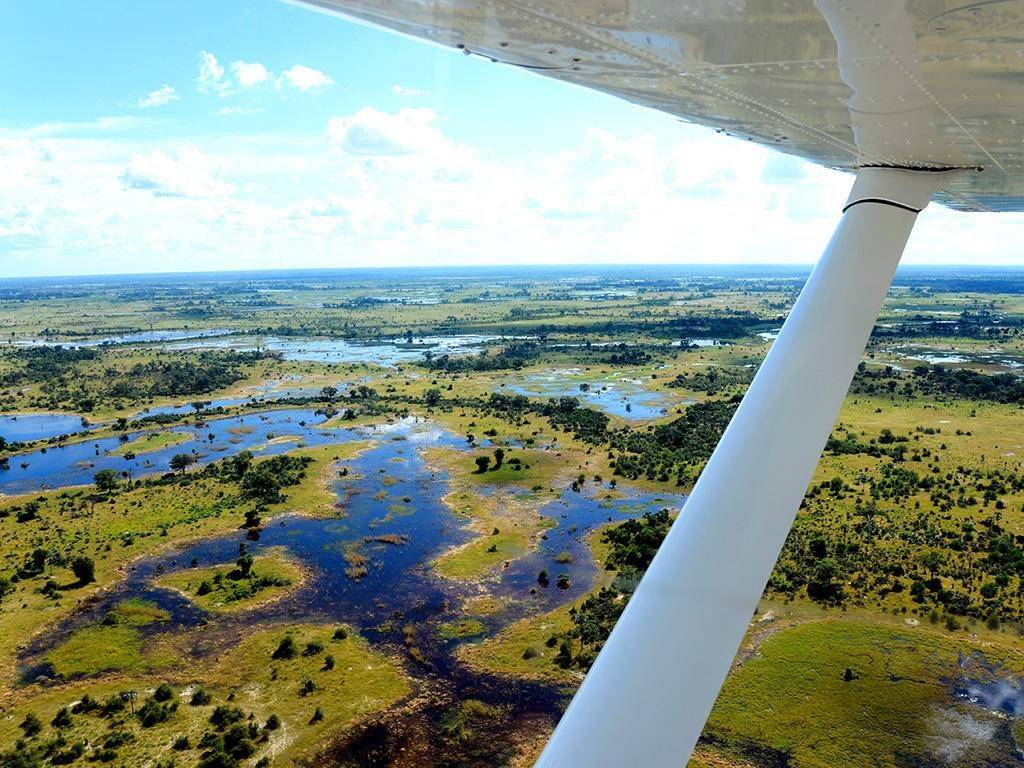Splendeurs australes: Okavango, Zambèze et région du Cap