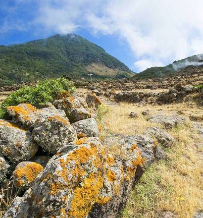 Equateur : Des Andes à l'Amazonie