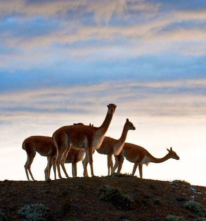 Equateur : Cotopaxi et Chimborazo en duo