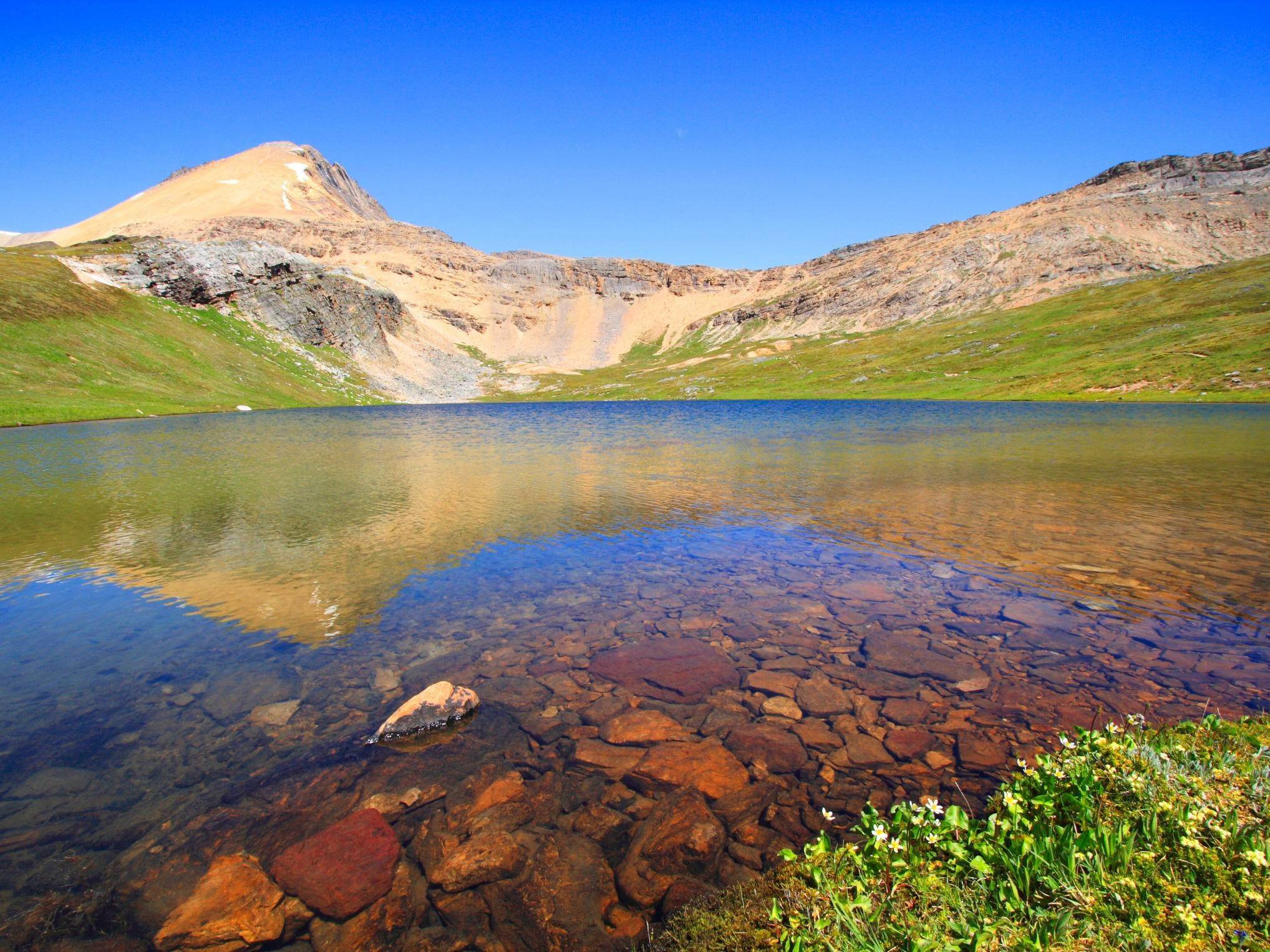 La nature dans tous ses états
