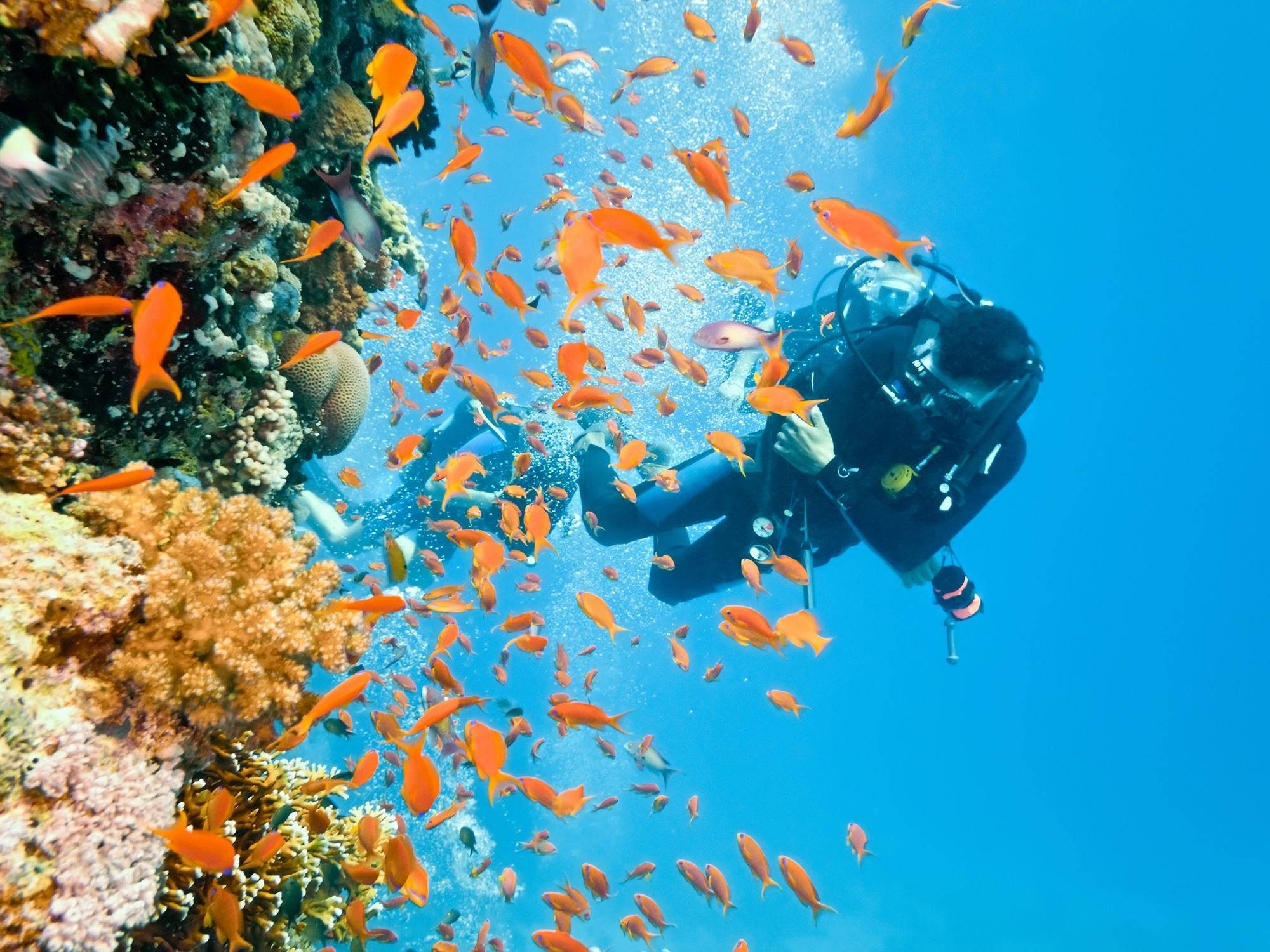 Lagons multicolores des Tuamotu