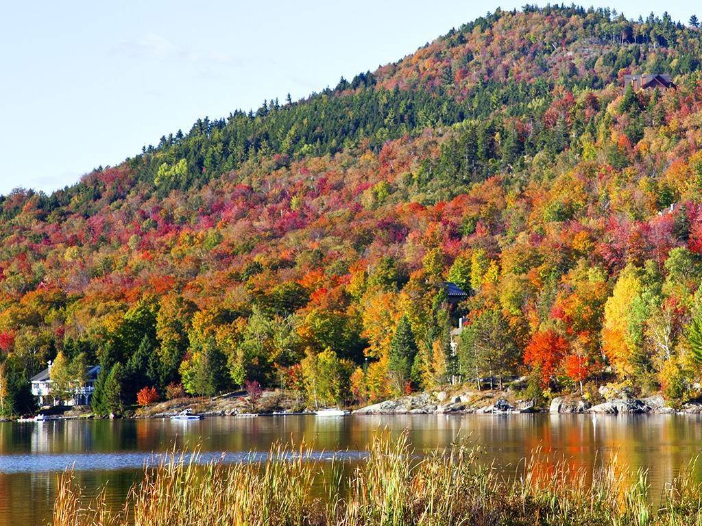 Le Québec : grandeur nature !