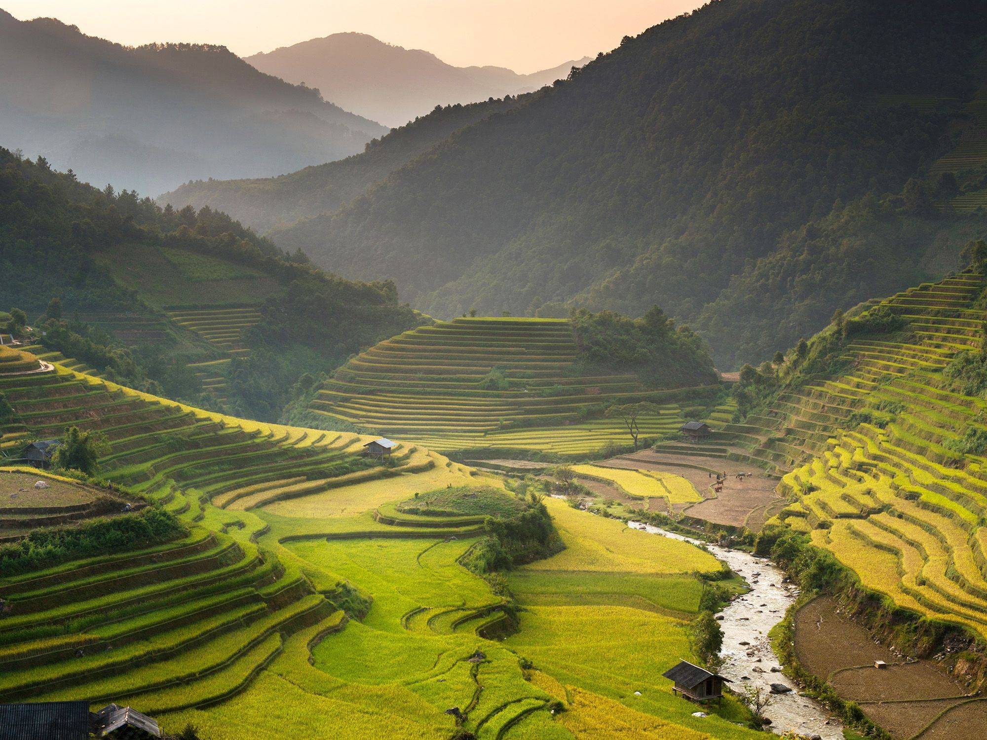 Le Vietnam à l'infini