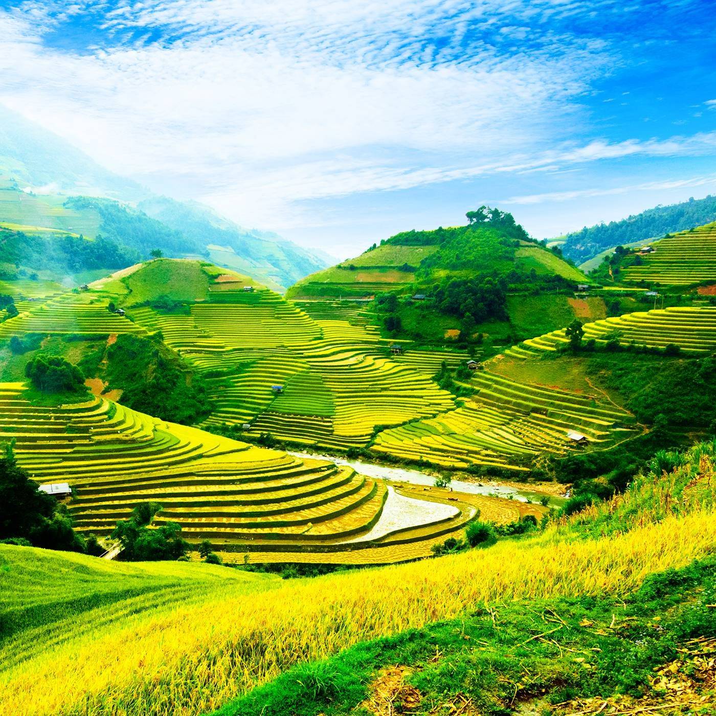 Le Vietnam, de villages en rizières