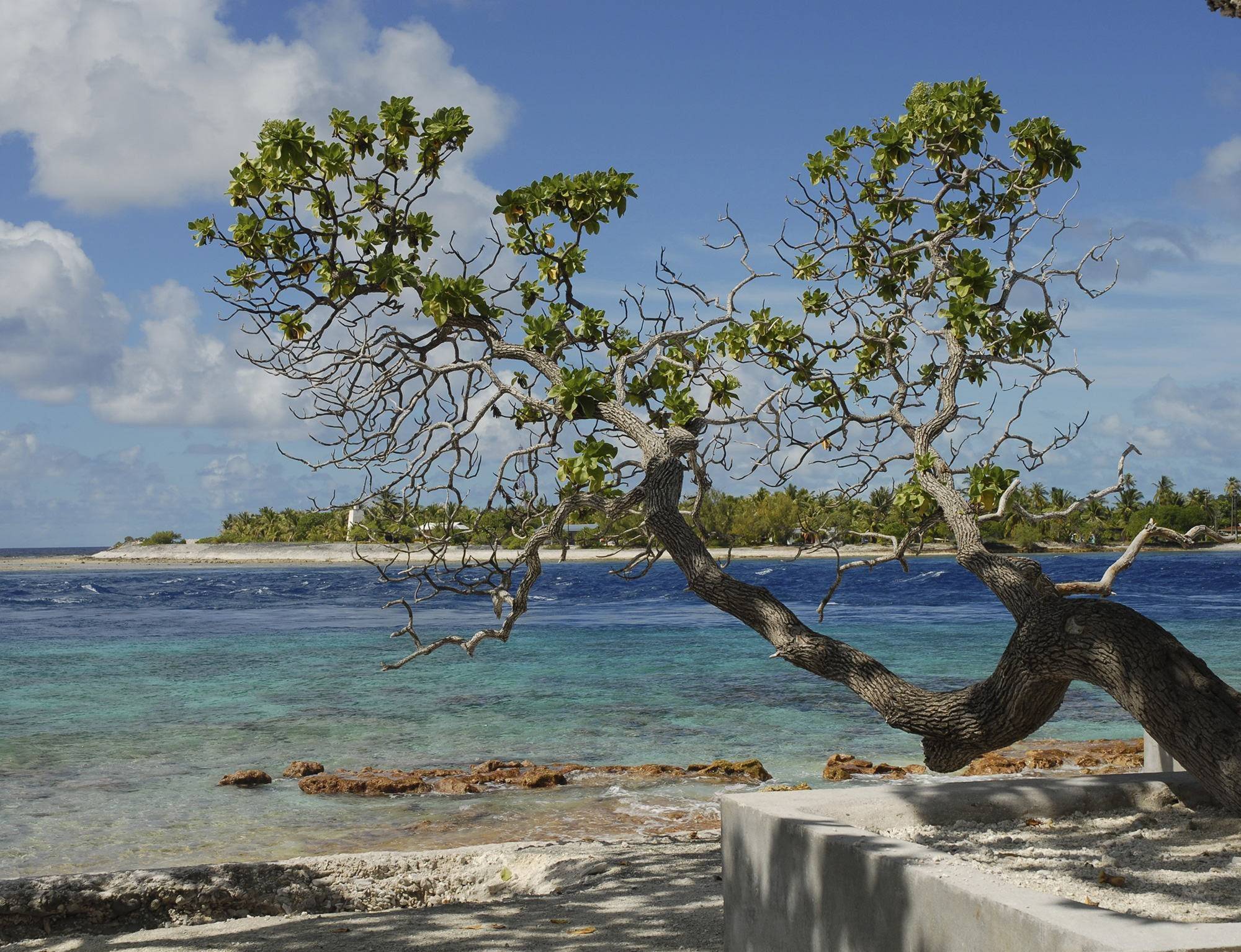 Le paradis perdu des Tuamotu