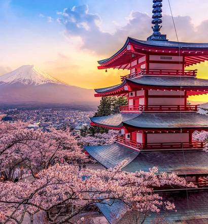 L'essentiel du Japon en liberté