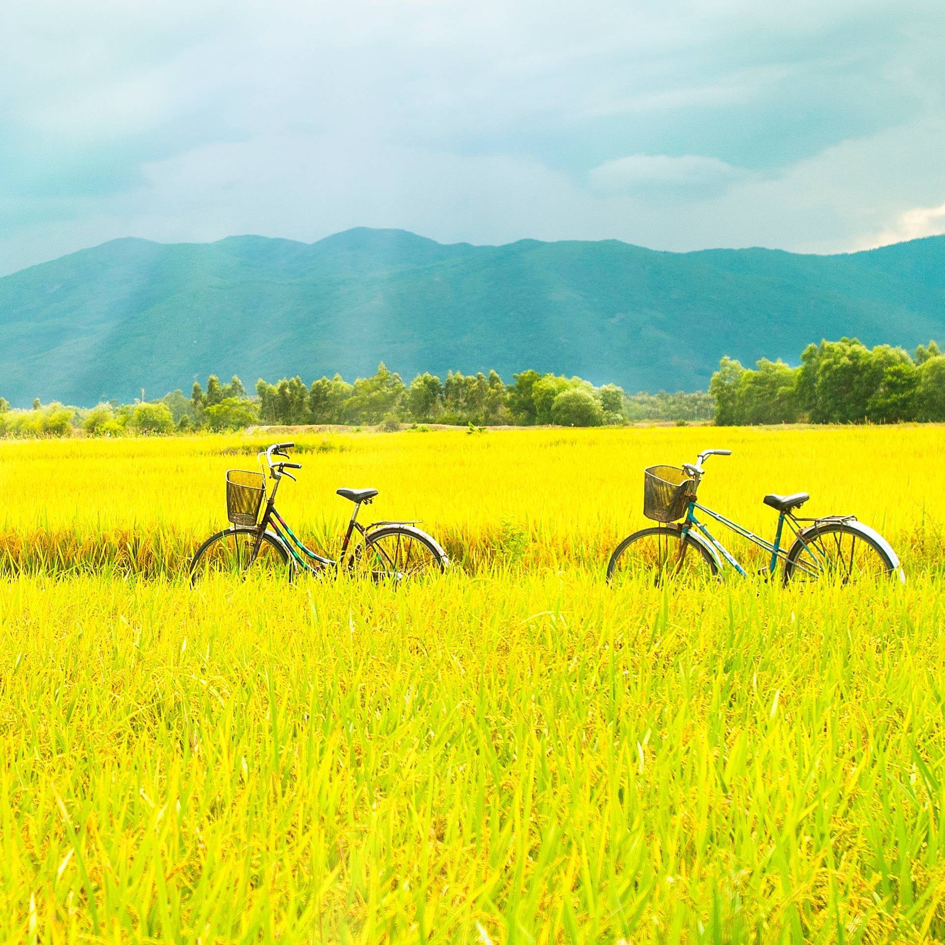Périple dans le nord à vélo