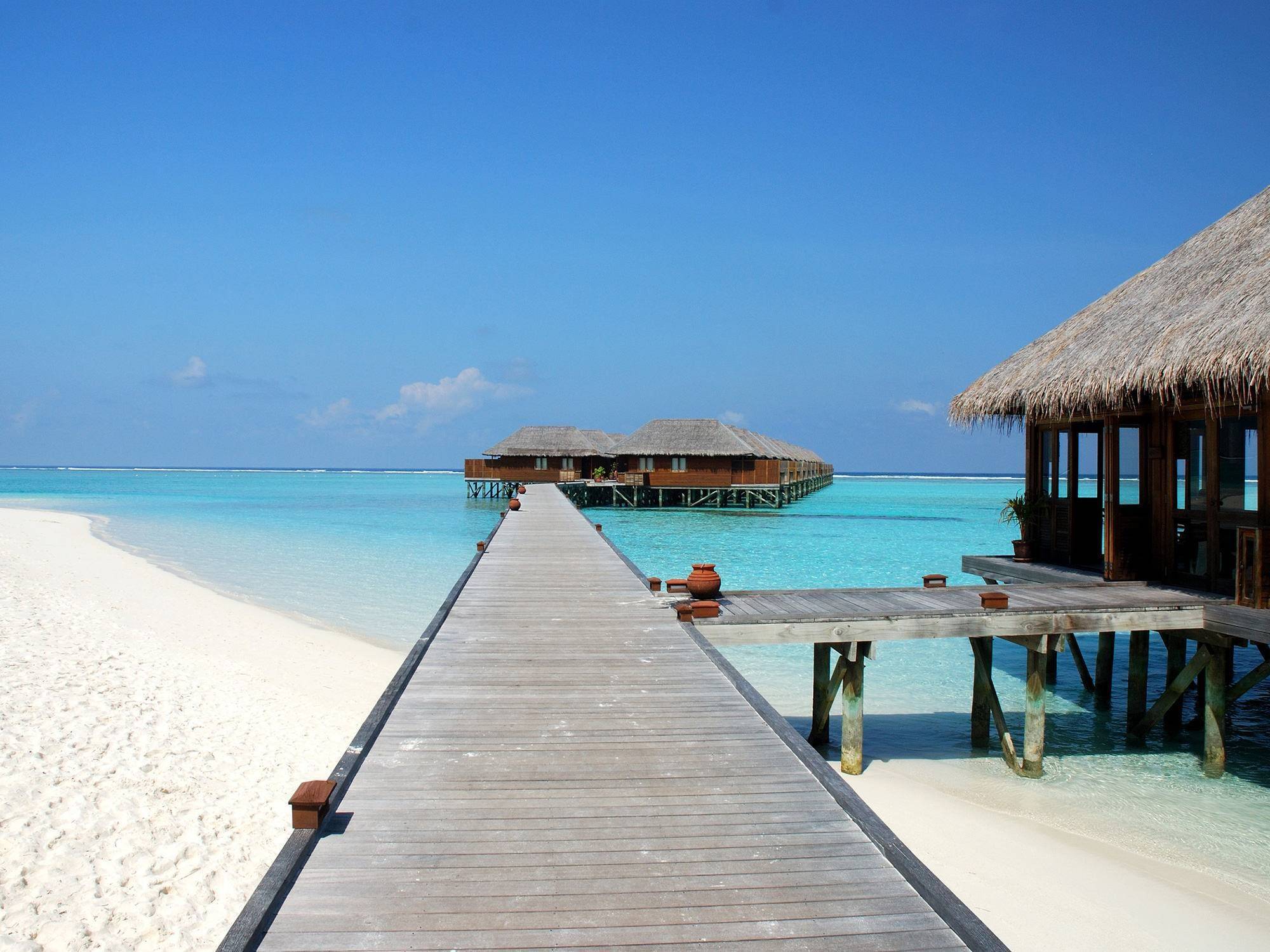 Sous le soleil de Los Angeles et Bora Bora