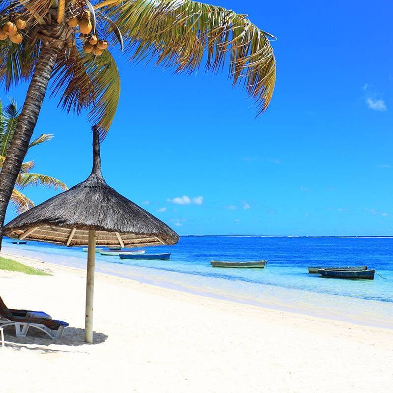 Un paradis sur l'île Rodrigues