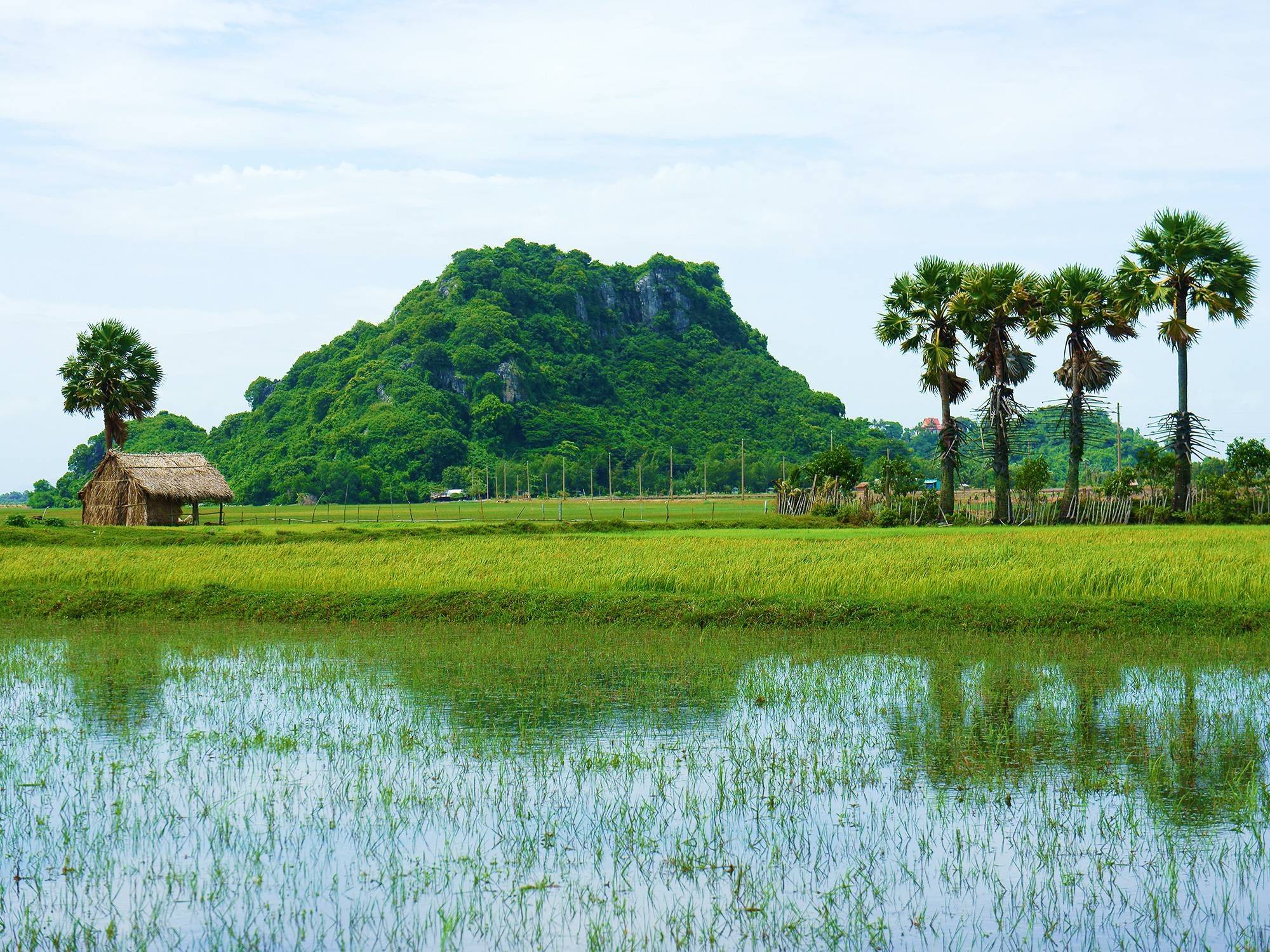 Vietnam : Delta du Mékong et ethnies des Hauts Plateaux