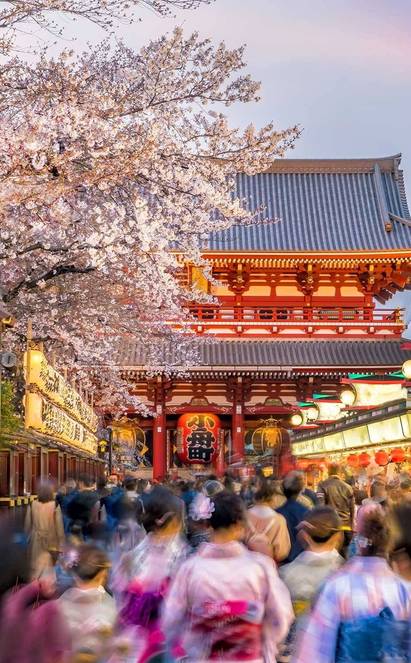 Teamlab, Flâneries et jeux dans Tokyo
